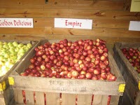 Empire Apples