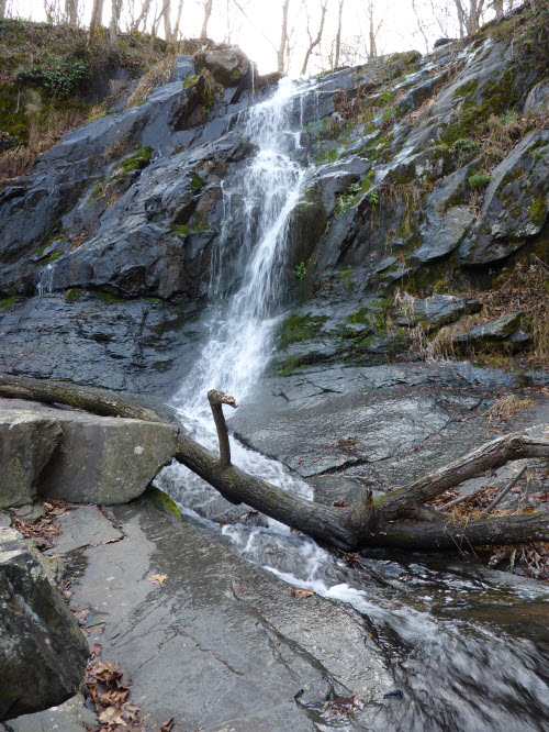 Jones Run Falls