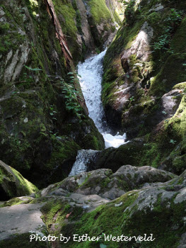 Shenandoah National Park Waterfall