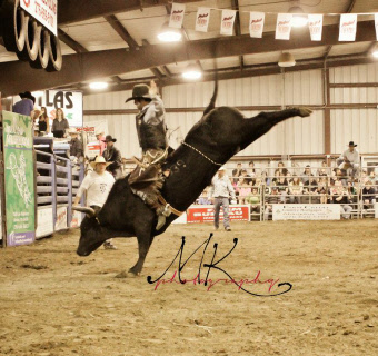 Bull Riding in Virginia