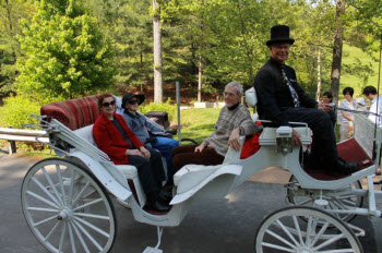 JMU Arboretum Carriage Rides