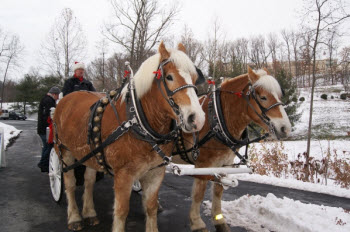 Carriage Rides at the JMU Arboretum