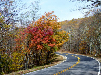 Fall Foliage on the Blue Ridge Parkway