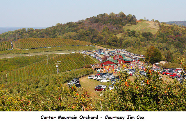 Carter Mountain Orchard