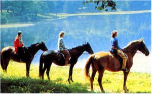 horseback riding in va