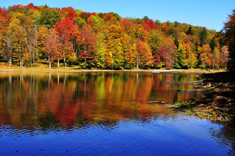 fall in virginia