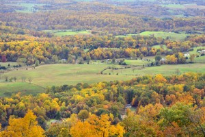 cabin rentals in virginia