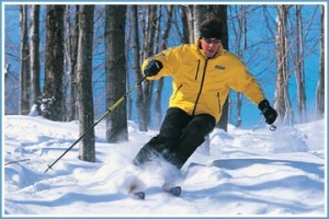 wintergreen rentals