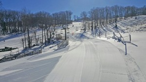 wintergreen rentals