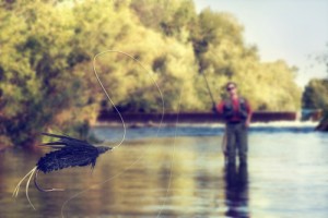 fly fishing trips