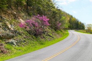 skyline drive 